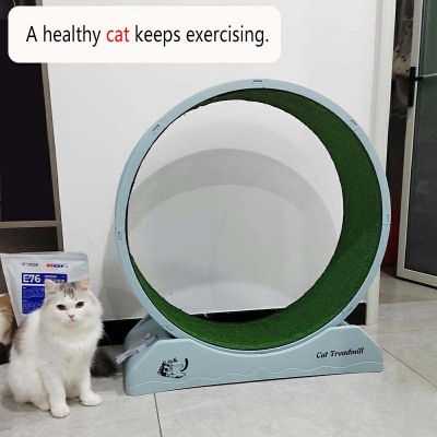 Big Cat Treadmill Wheel: Ultimate Cat Exercise & Running Machine 02