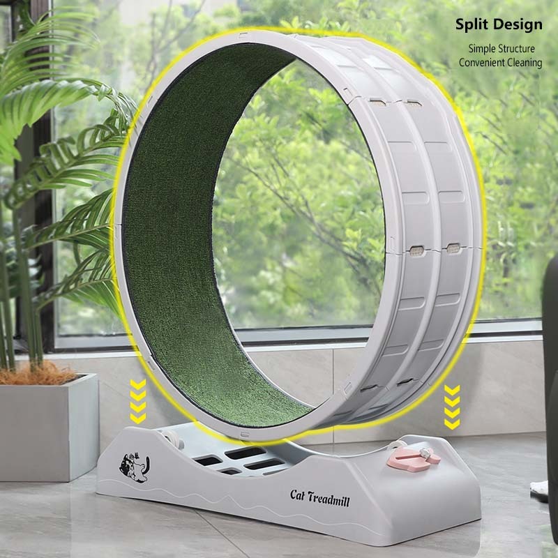 Big Cat Treadmill Wheel: Ultimate Cat Exercise & Running Machine