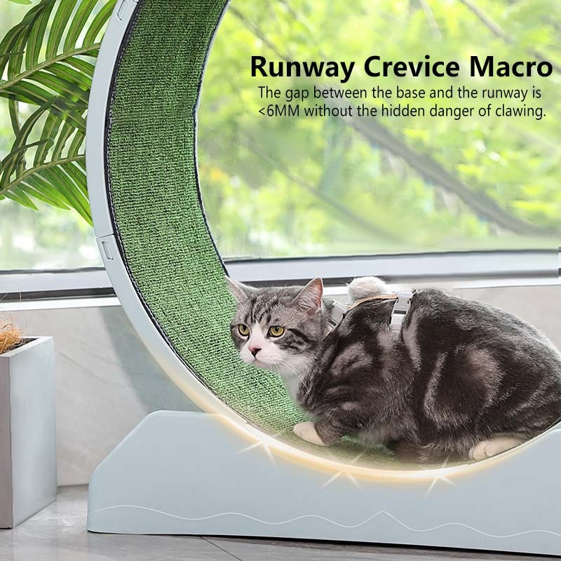 Big Cat Treadmill Wheel: Ultimate Cat Exercise & Running Machine