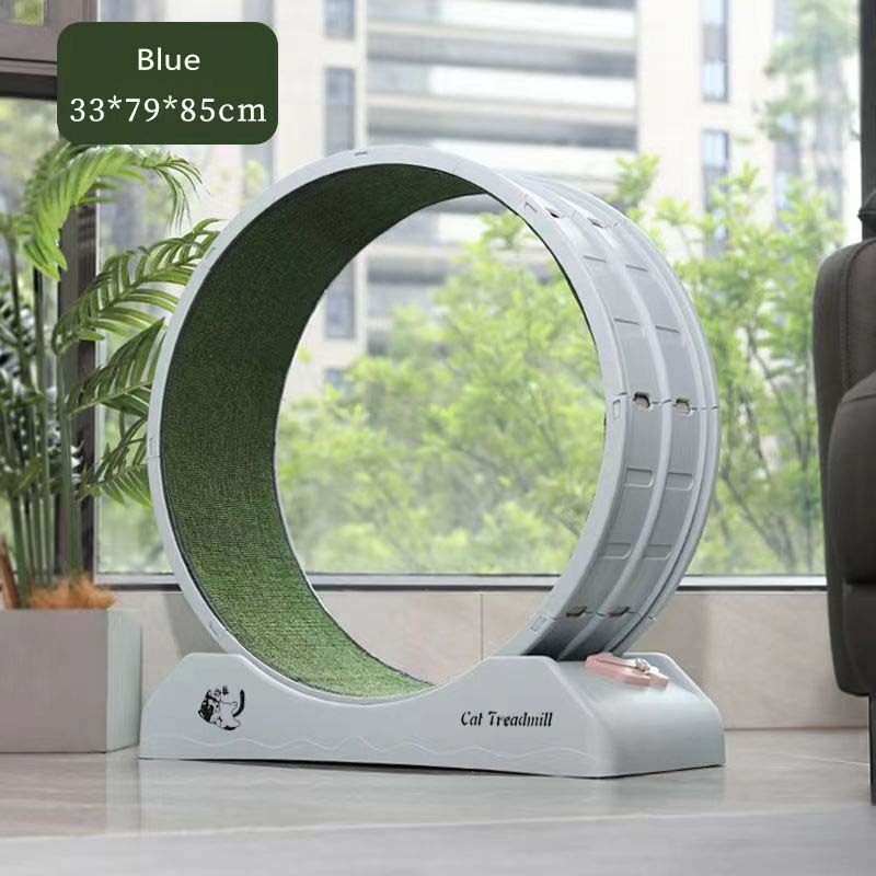 Big Cat Treadmill Wheel: Ultimate Cat Exercise & Running Machine