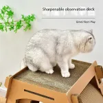Pet Exercise Treadmill Corrugated Cat Scratching Board Climbing Frame Roller