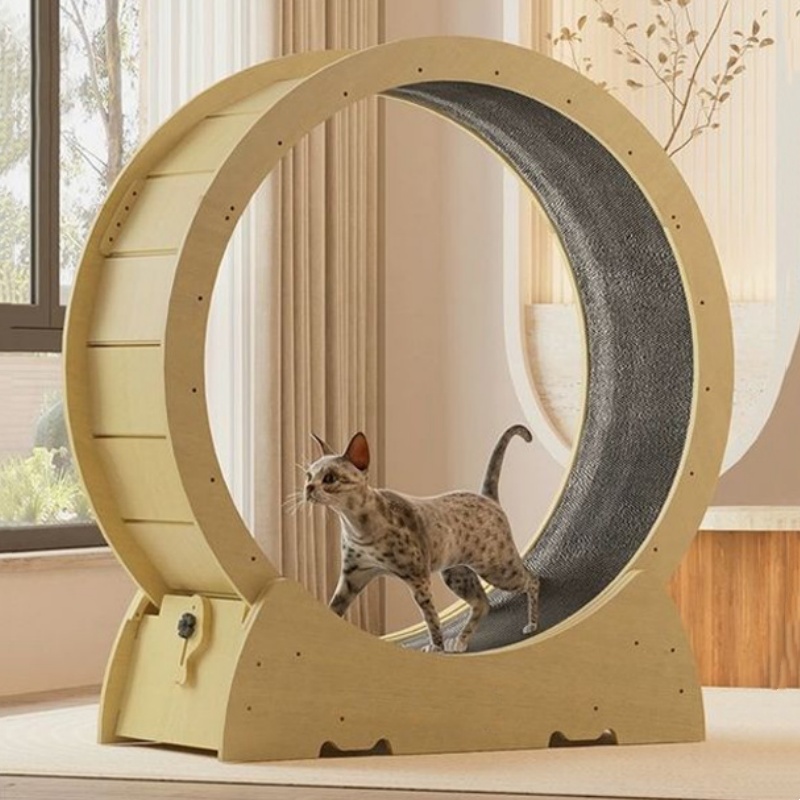 Silent and Safety Cat Treadmill Solid Wood Exercise Fitness Runner Wheel