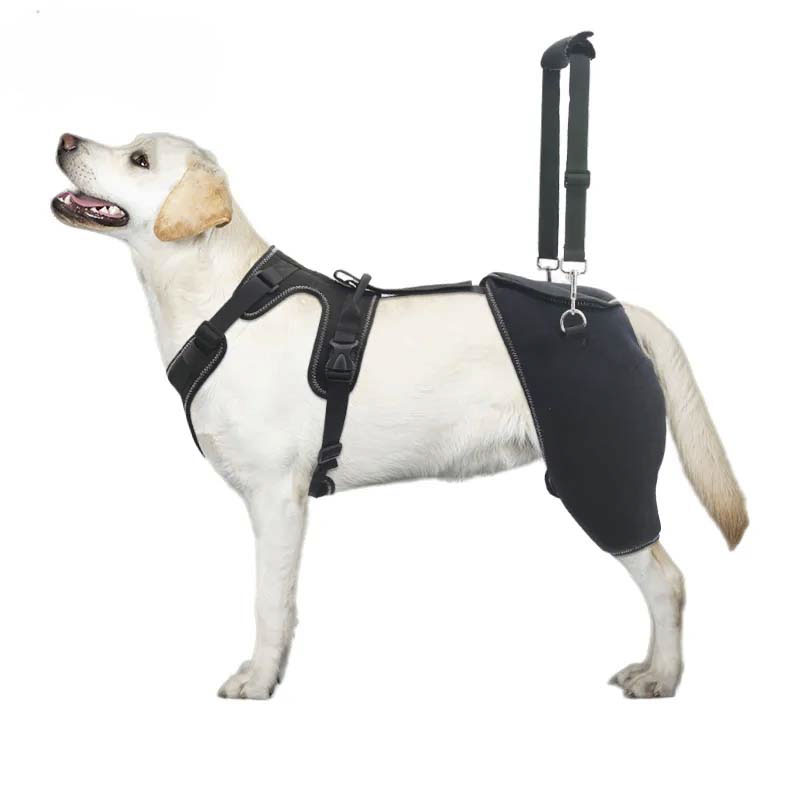 Chest Vest Design Dog Hip Dysplasia Brace