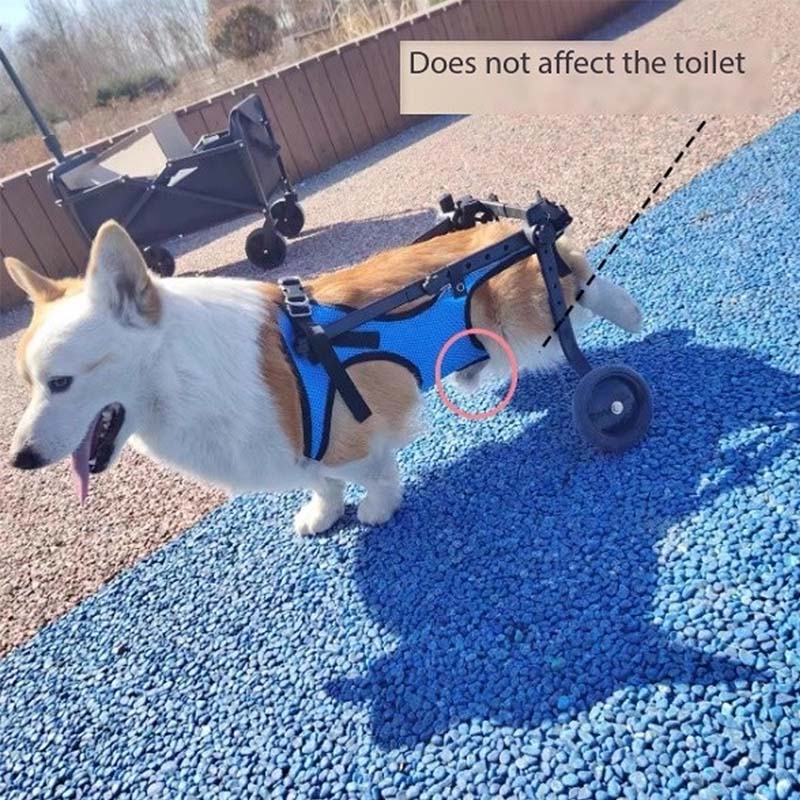Factory Convinient Customized Dog Wheelchair: Mobility Aid for Canine Pals