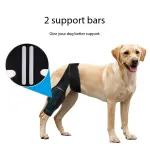 Pet Dog Hind Leg Knee Brace to Prevent Licking and Biting After Surgery