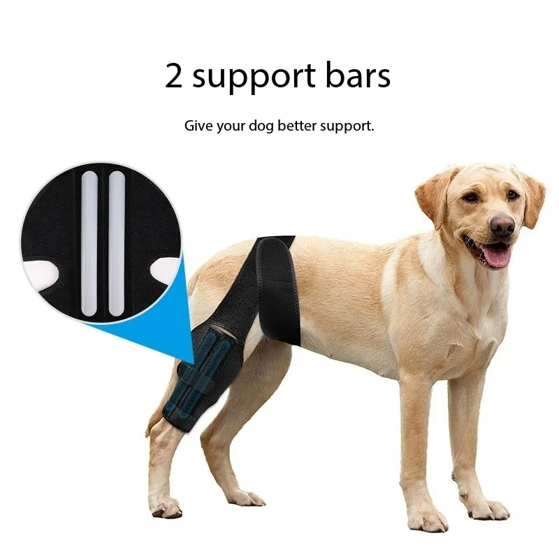 Pet Dog Hind Leg Knee Brace to Prevent Licking and Biting After Surgery
