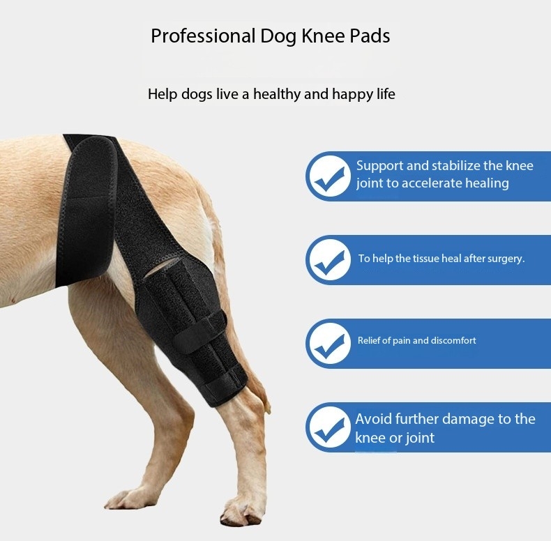 Pet Dog Hind Leg Knee Brace to Prevent Licking and Biting After Surgery