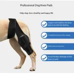 Pet Dog Hind Leg Knee Brace to Prevent Licking and Biting After Surgery