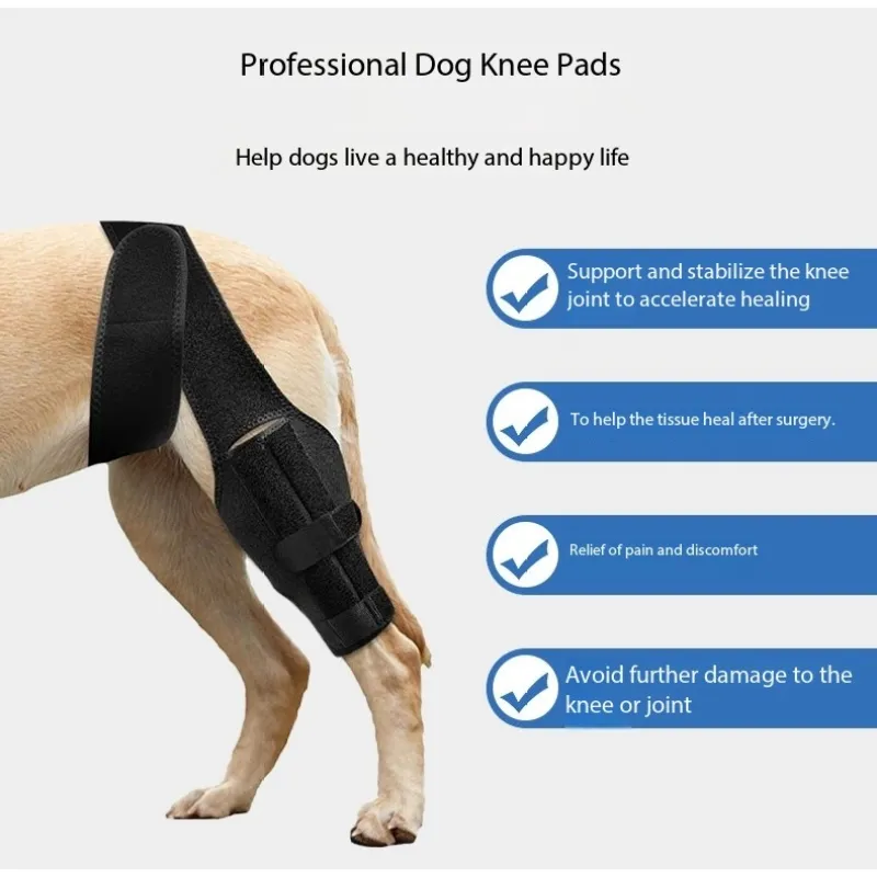 Pet Dog Hind Leg Knee Brace to Prevent Licking and Biting After Surgery