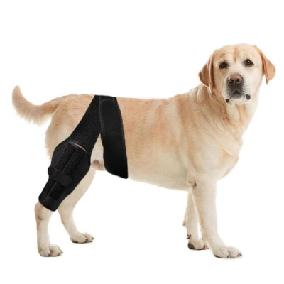 Pet Dog Hind Leg Knee Brace to Prevent Licking and Biting After Surgery 01