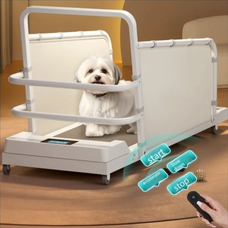 Pet Running Machine Teddy Corgi Small and Medium Cat and Dog Treadmill