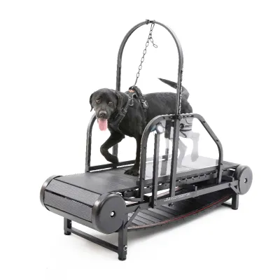 Dog Treadmill 01