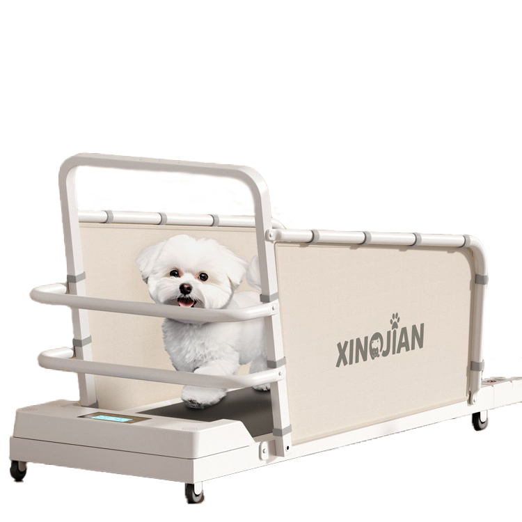 Pet Exercise Bichon Teddy Corgi Small and Medium Cat and Dog Treadmill
