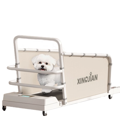 Pet Exercise Bichon Teddy Corgi Small and Medium Cat and Dog Treadmill 01