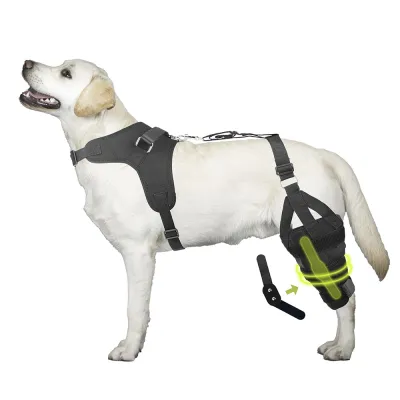Basic Dog Knee Brace for Dogs ACL With Hanress 01