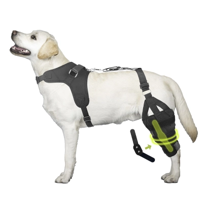 Basic Dog Knee Brace for Dogs ACL With Hanress 01