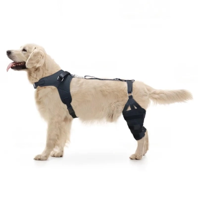 Basic Dog Knee Brace for Dogs ACL With Hanress 02