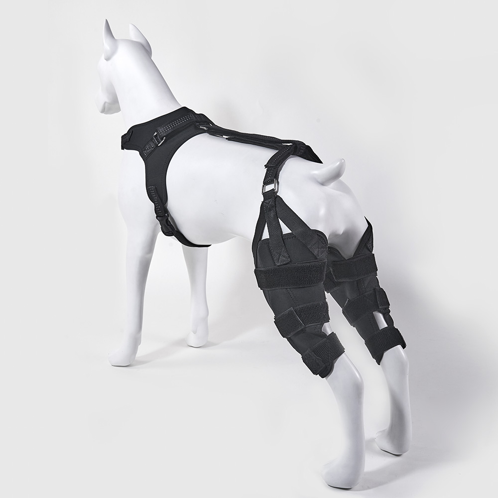 Basic Dog Knee Brace With Hanress