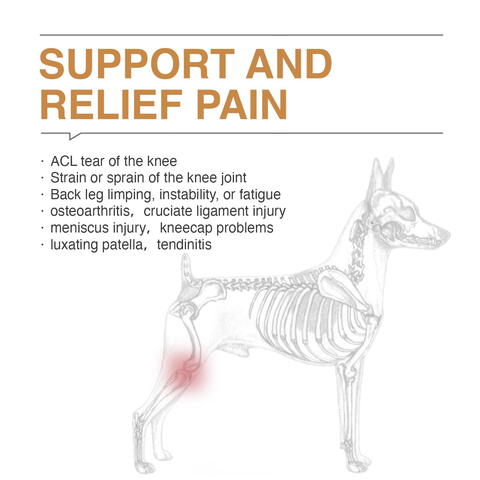 Basic Dog Knee Brace for Dogs ACL With Hanress