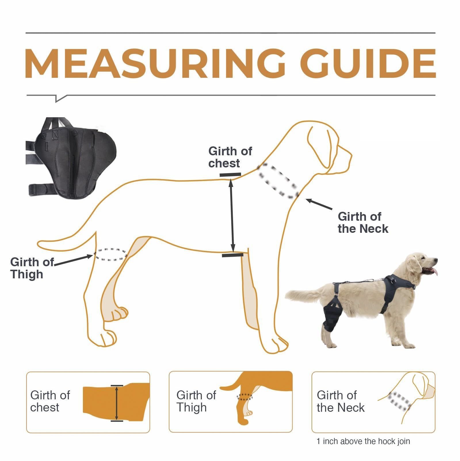 Basic Dog Knee Brace for Dogs ACL With Hanress