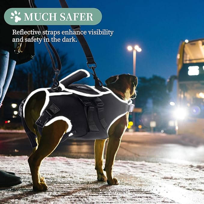 Small Dog Back Brace for IVDD