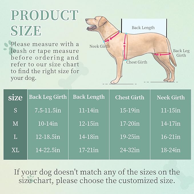 Small Dog Back Brace for IVDD