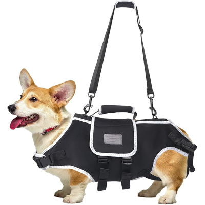 Small Dog Back Brace for IVDD 01