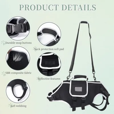 Small Dog Back Brace for IVDD 02