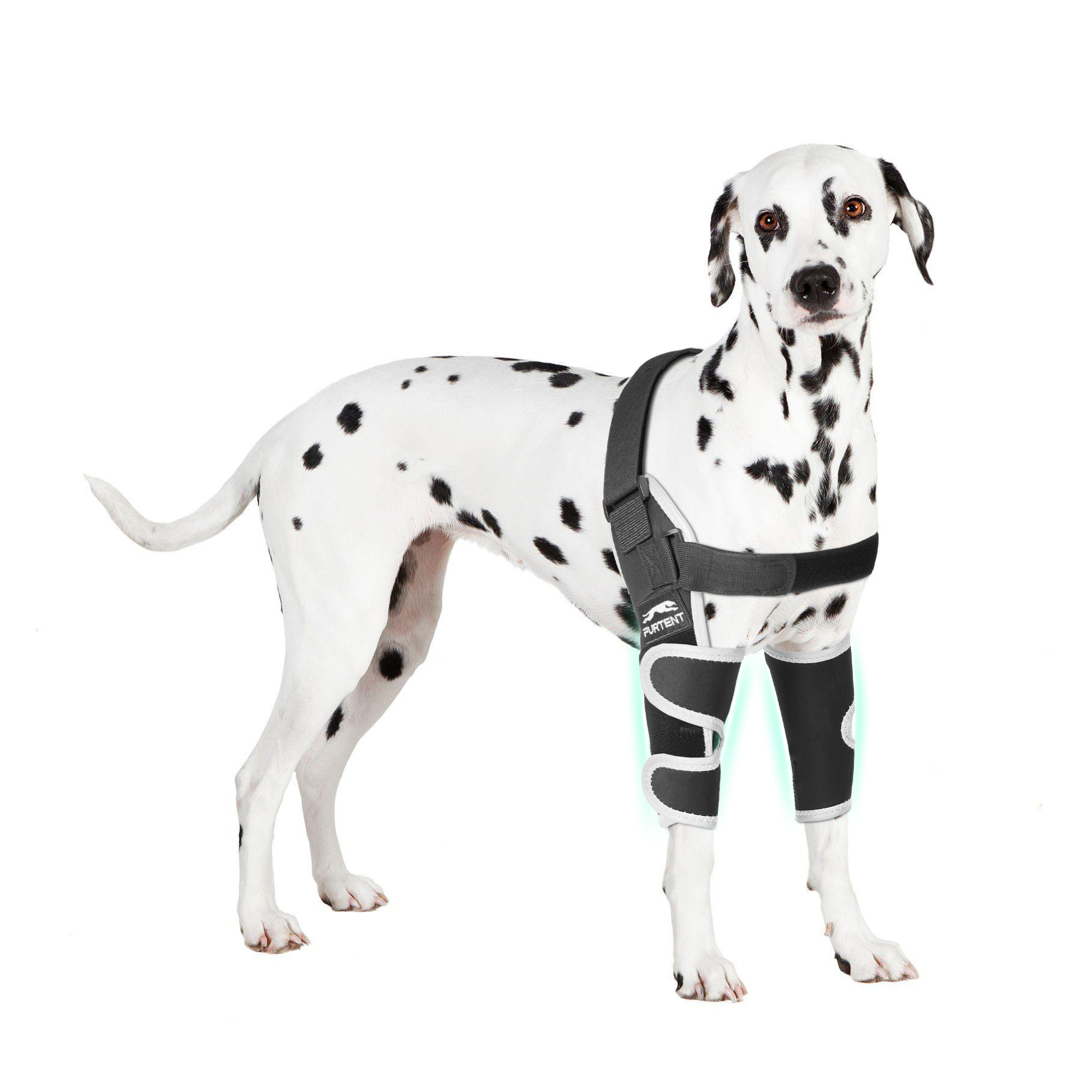 dog front elbow brace arthritis