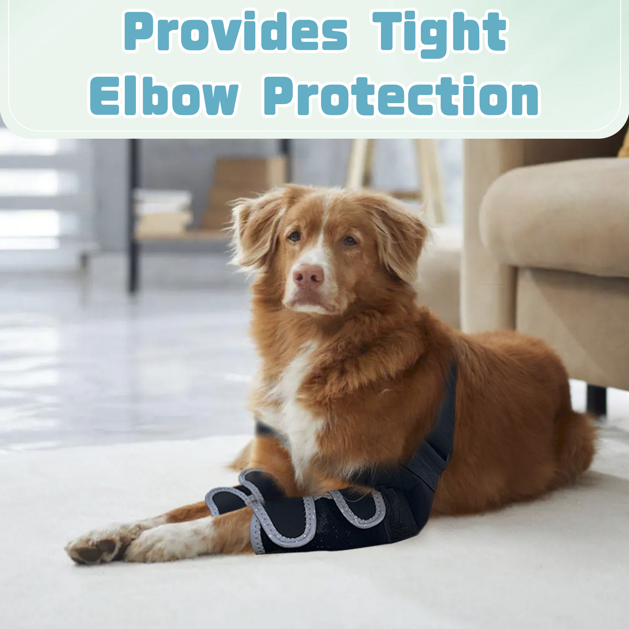 compression sleeve for dogs elbow