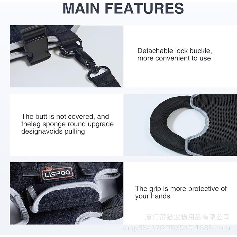 best ivdd back brace for dogs