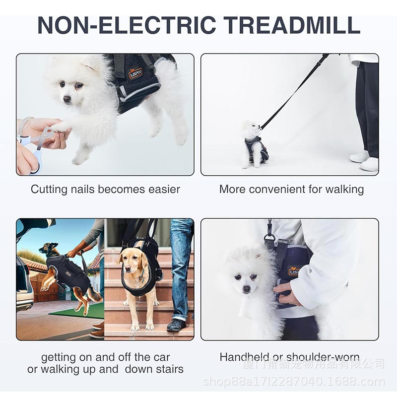 Best Weenie Dog IVDD Back Brace for Arthritis