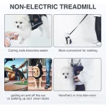 Best Weenie Dog IVDD Back Brace for Arthritis