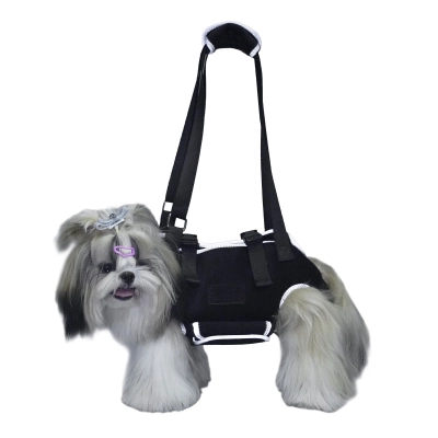 Best Weenie Dog IVDD Back Brace for Arthritis 01