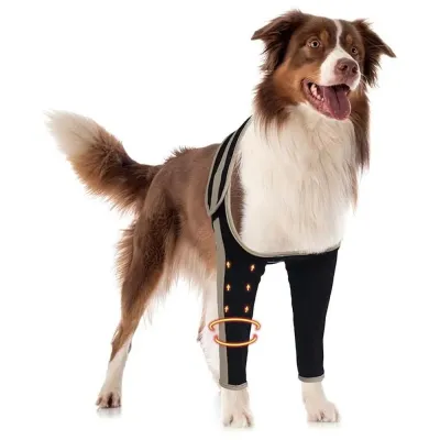 Anti-Lick Double-Color Canine Front Leg Brace for Elbow Dysplasia  01