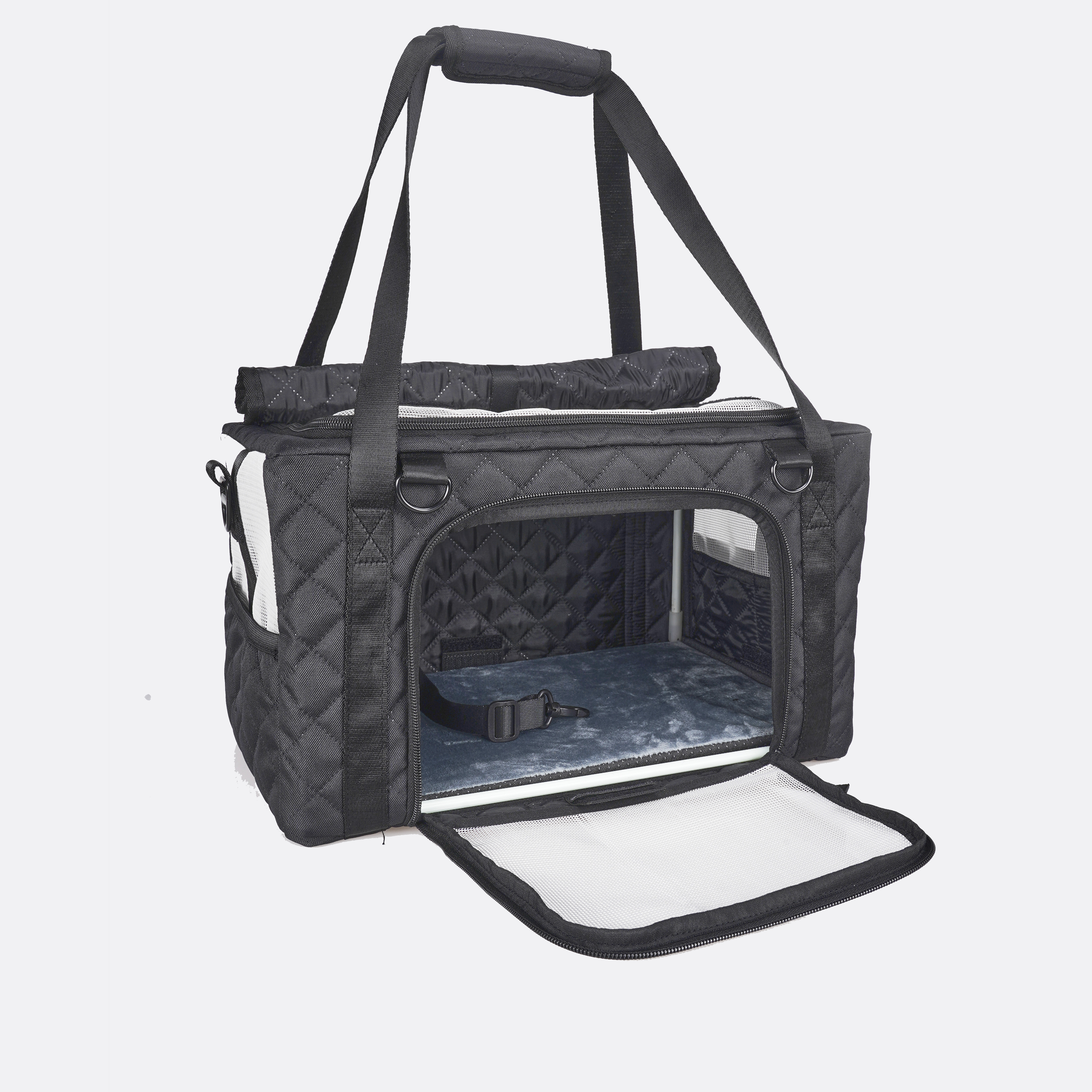 airline approved dog carrier 20 lbs