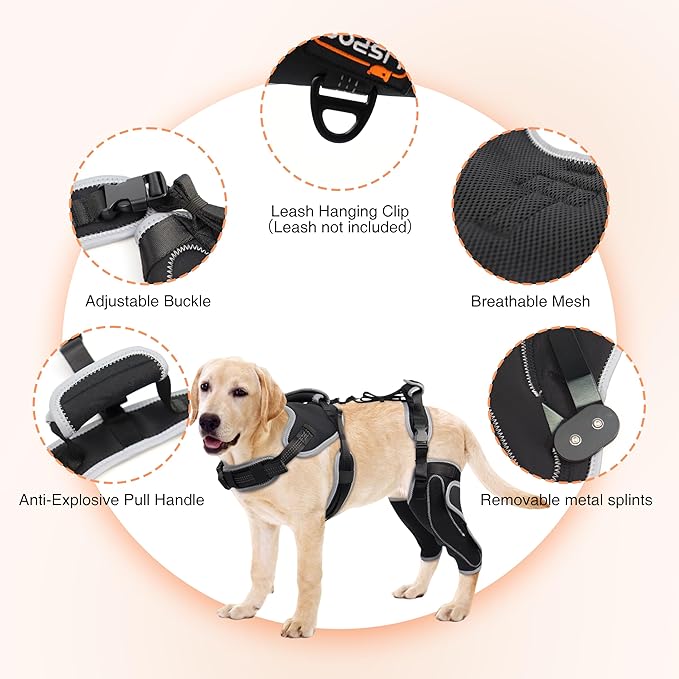 Updated Dog Knee Brace for ACL Injury with Reflective Trim