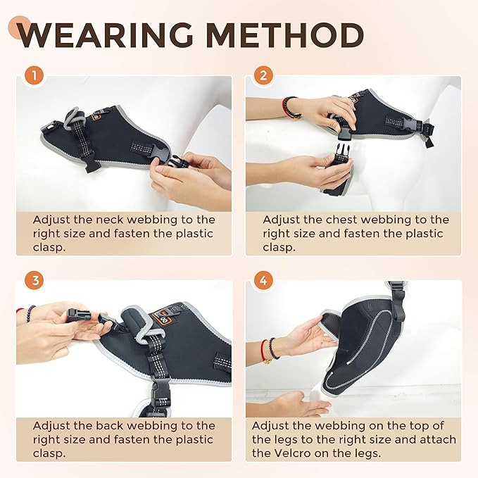 Updated Dog Knee Brace for ACL Injury with Reflective Trim