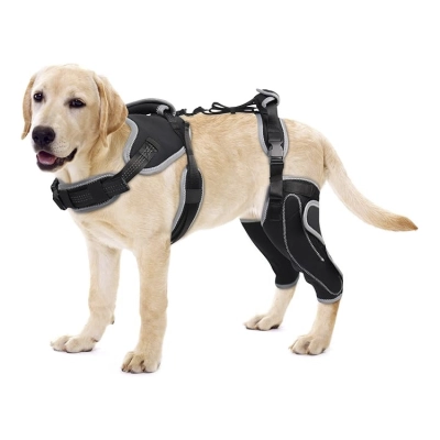 Updated Dog Knee Brace for ACL Injury with Reflective Trim 01