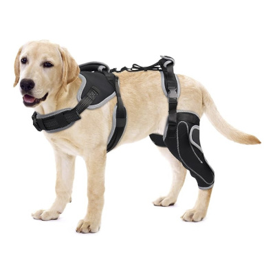 Updated Dog Knee Brace for ACL Injury with Reflective Trim 02