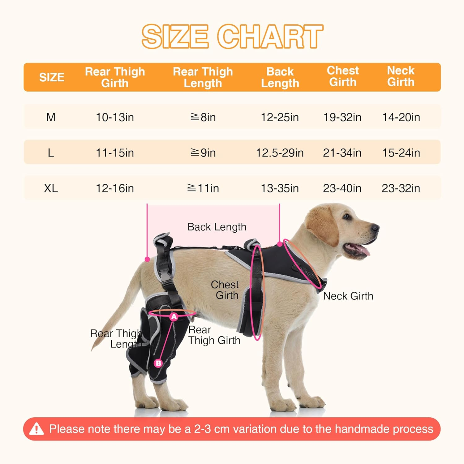 Updated Dog Knee Brace for ACL Injury with Reflective Trim
