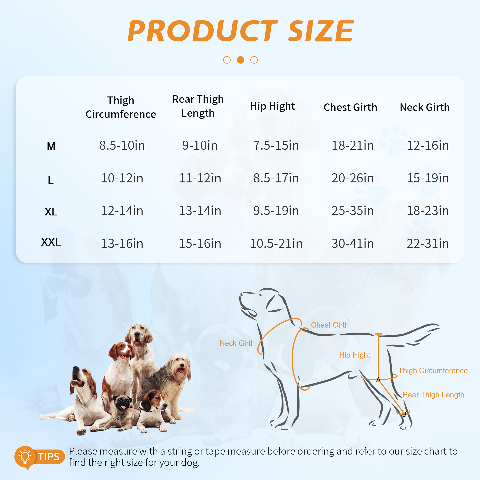 New-Design Chest Vest Dog Double Knee Brace for Torn ACL