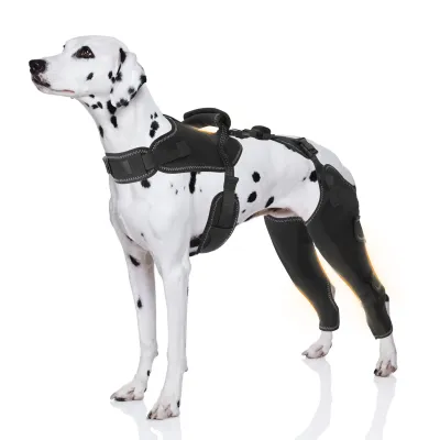 New-Design Chest Vest Dog Double Knee Brace for Torn ACL 01