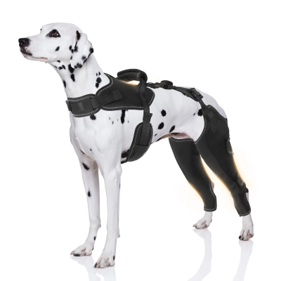 New-Design Chest Vest Dog Double Knee Brace for Torn ACL 01