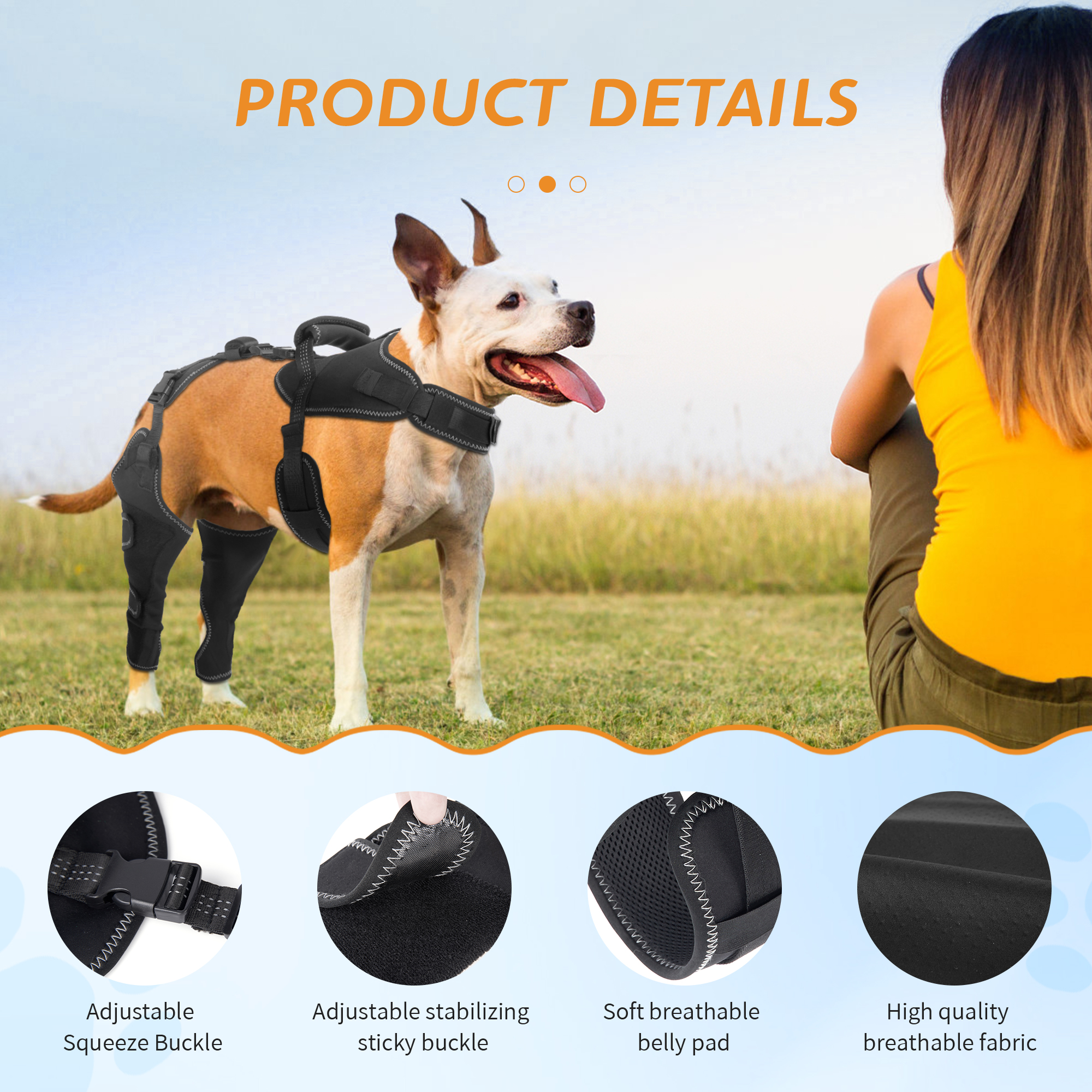 dog knee brace for torn acl