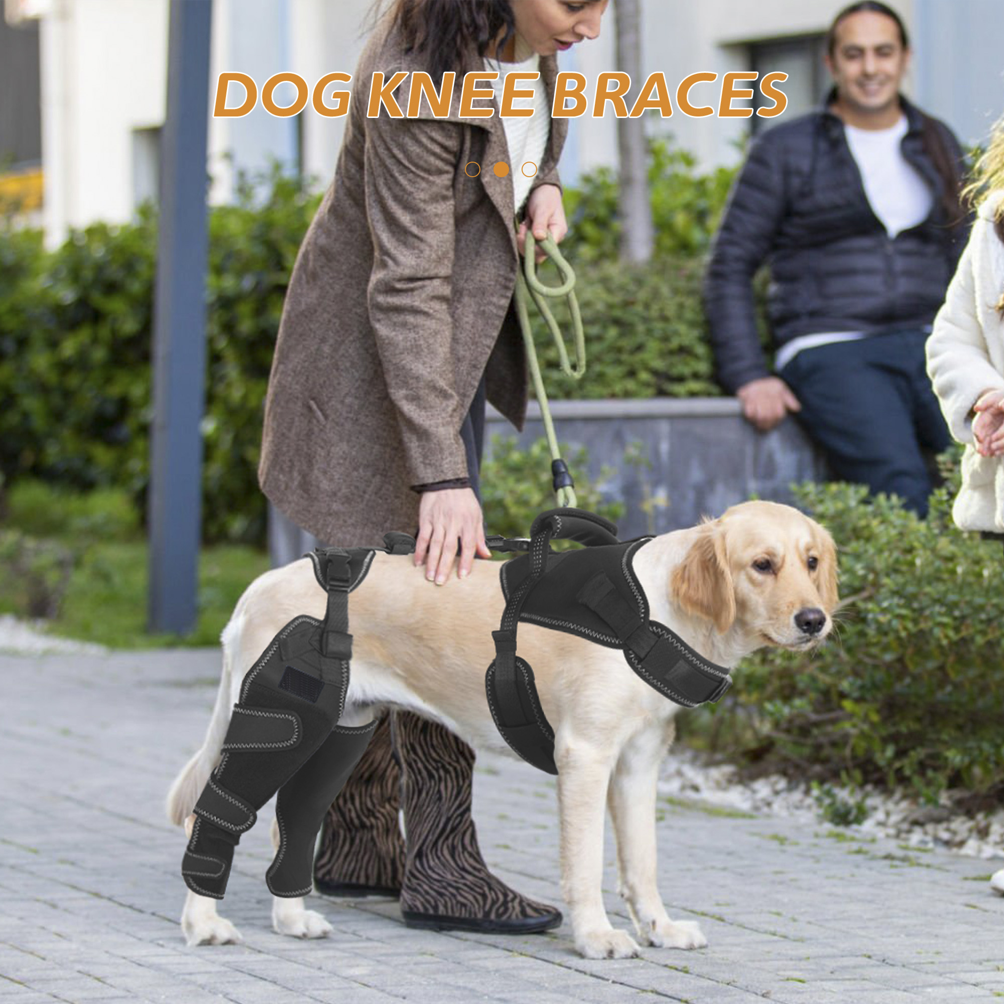 dog rear leg knee brace