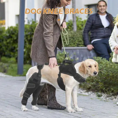 New-Design Chest Vest Dog Double Knee Brace for Torn ACL 02