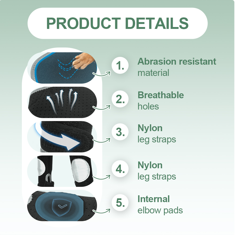 Basics Anti-Lick All-4 Dog Leg Support Braces Suit with Reflective Safety Dot