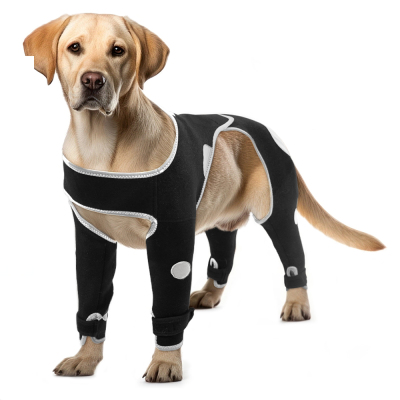Basics Anti-Lick All-4 Dog Leg Support Braces Suit with Reflective Safety Dot 02