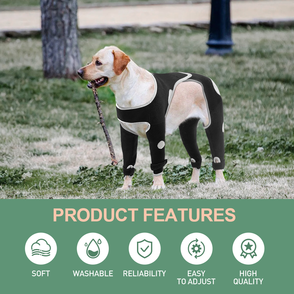 Basics Anti-Lick All-4 Dog Leg Support Braces Suit with Reflective Safety Dot